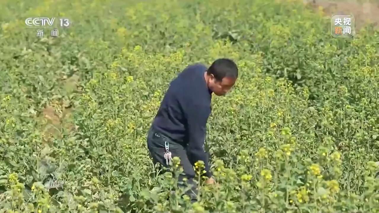 通过优质回答的经验之路_天津肿瘤优质护理经验汇报_注册给排水通过经验