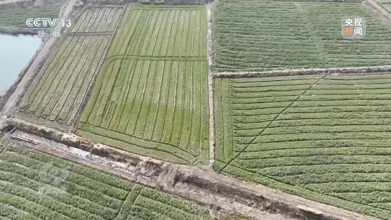 天津肿瘤优质护理经验汇报_注册给排水通过经验_通过优质回答的经验之路