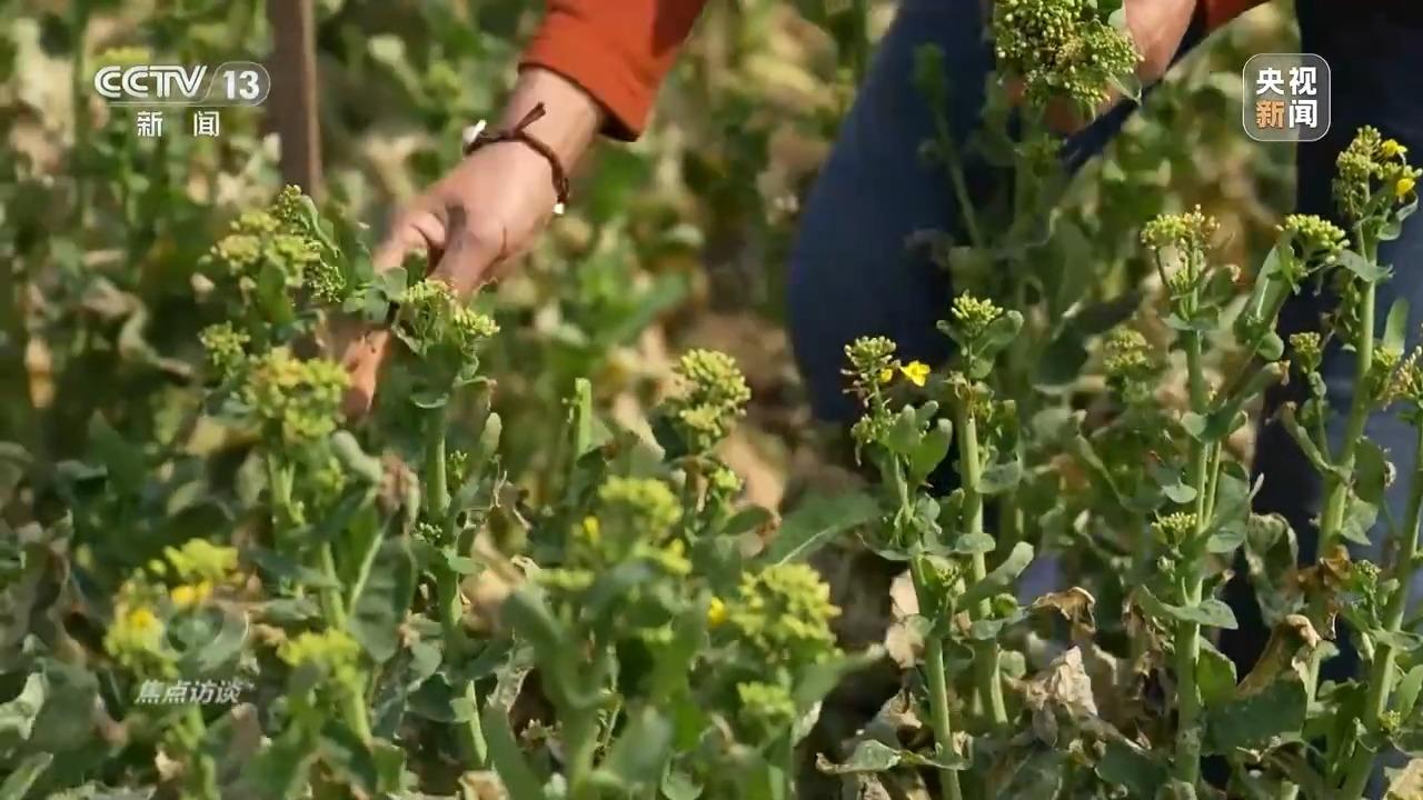 通过优质回答的经验之路_天津肿瘤优质护理经验汇报_注册给排水通过经验