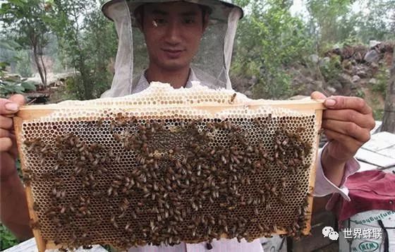 繁殖养殖技术有哪些方面_繁殖养殖技术有什么_繁殖有养殖技术