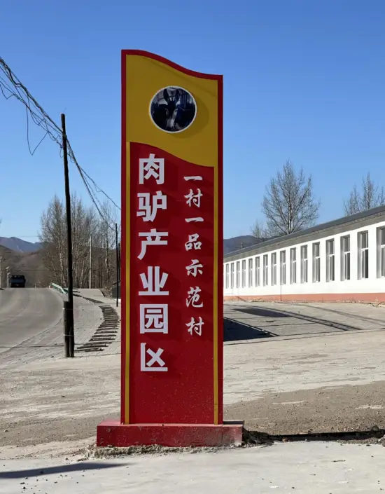 肉马养殖致富_马致富养殖肉牛视频_马肉养殖场
