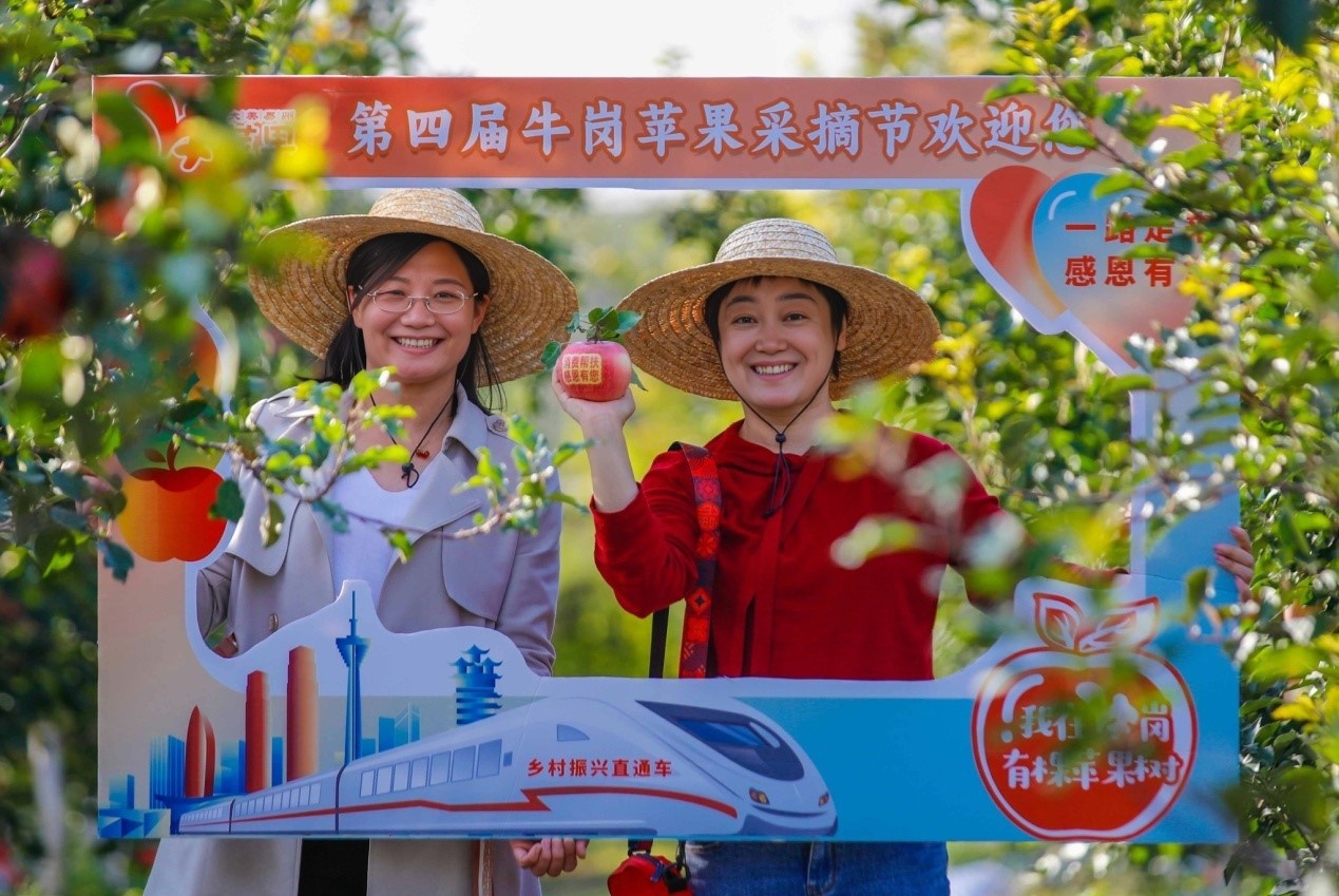 致富种植农民苹果图片_种植苹果致富的人_农民种植苹果致富