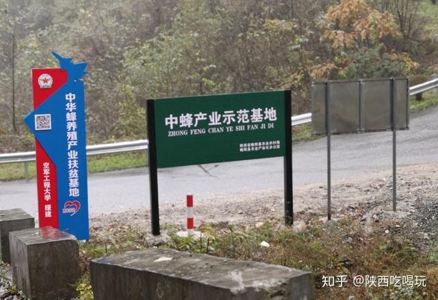 乌骨鸡养殖致富_致富养殖乌骨鸡视频_乌骨鸡养殖成本与利润
