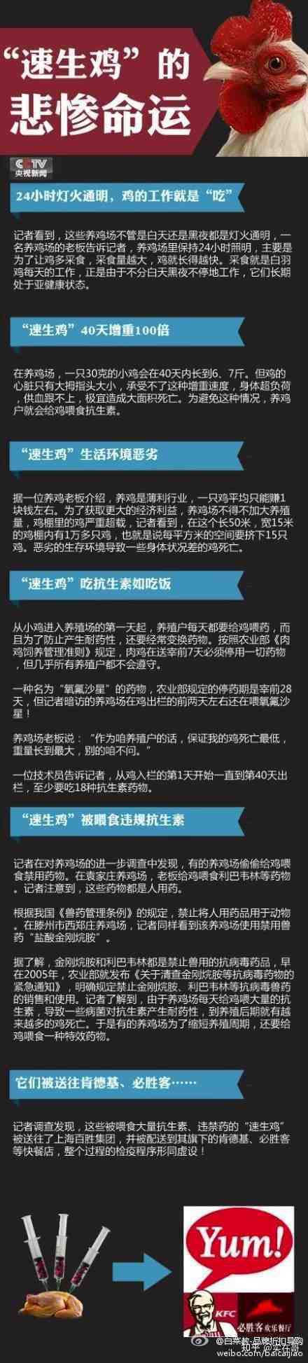 致富养殖乌骨鸡视频_乌骨鸡养殖致富_养殖乌骨鸡大概要投资多少钱