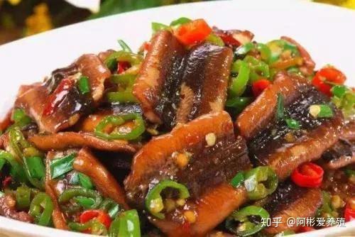 网箱泥鳅养殖技术_养泥鳅的网箱_养殖泥鳅网箱技术要求