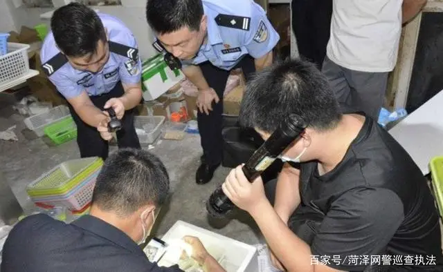 蜘蛛养殖技术百问百答_蜘蛛养殖技术大全_蜘蛛养殖技术