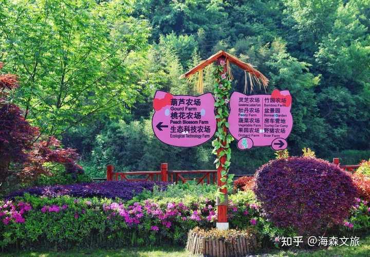 村庄借鉴优质规划经验材料_借鉴优质村庄规划经验_村庄借鉴优质规划经验做法