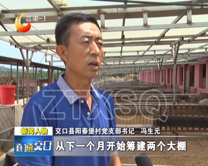 致富养殖传统项目介绍_传统养殖致富项目_致富养殖好项目