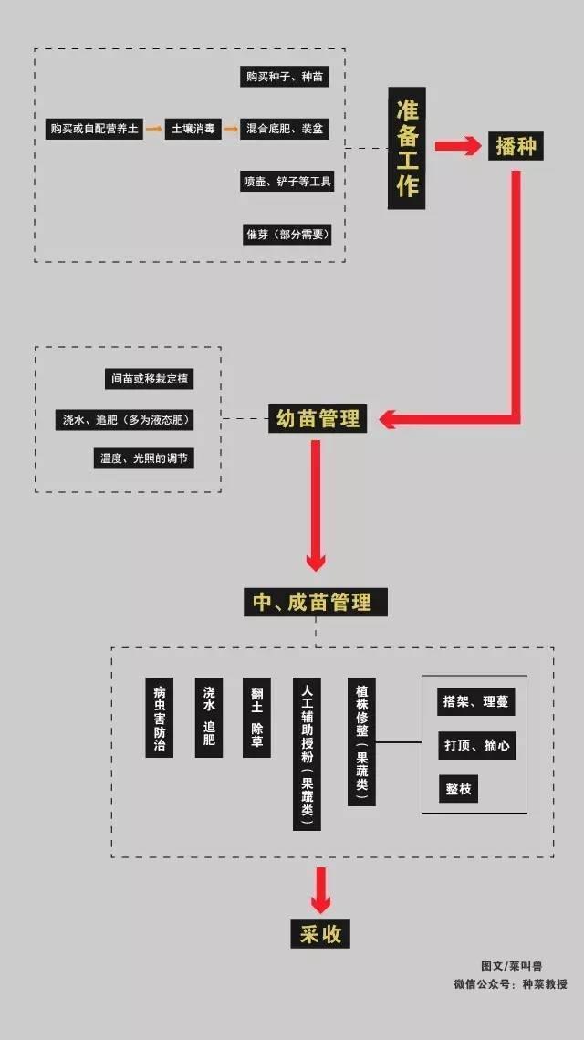 种菜养殖技术_种植养殖技术_种菜养殖视频