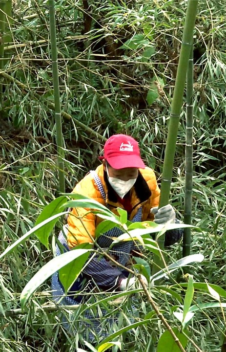 致富观念_看致富经的感受_致富感悟