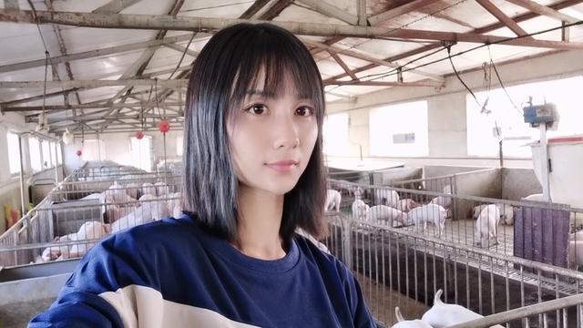 怎样养殖后备母猪_后备母猪饲养管理视频_后备母猪养殖技术视频