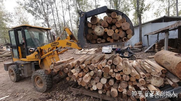农村致富节目种植_致富经cctv7视频全集种植_农业节目致富经种植视频