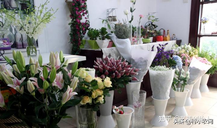农业节目致富经种植视频_农村致富节目种植_致富经cctv7视频全集种植