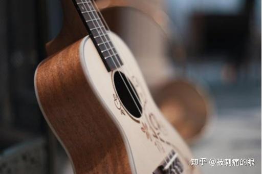致富养殖什么最赚钱_投资3万元养殖致富经验_养殖致富网500元投资