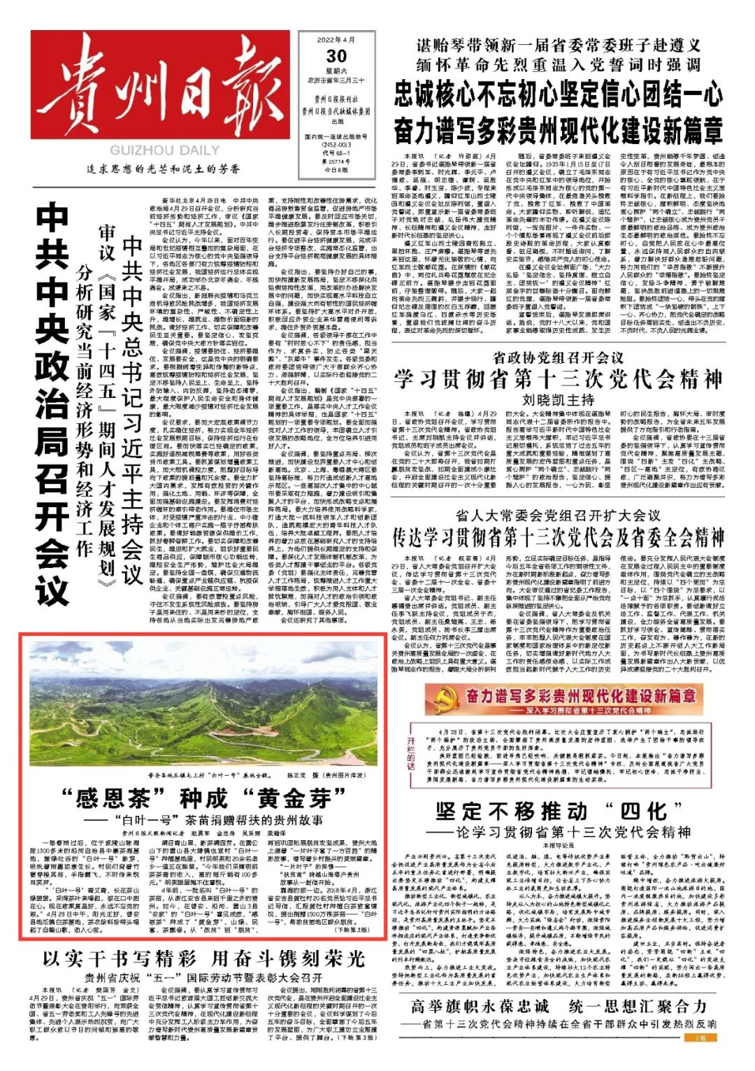 种植白茶赚钱吗_白茶种植利润成本_白茶种植致富视频