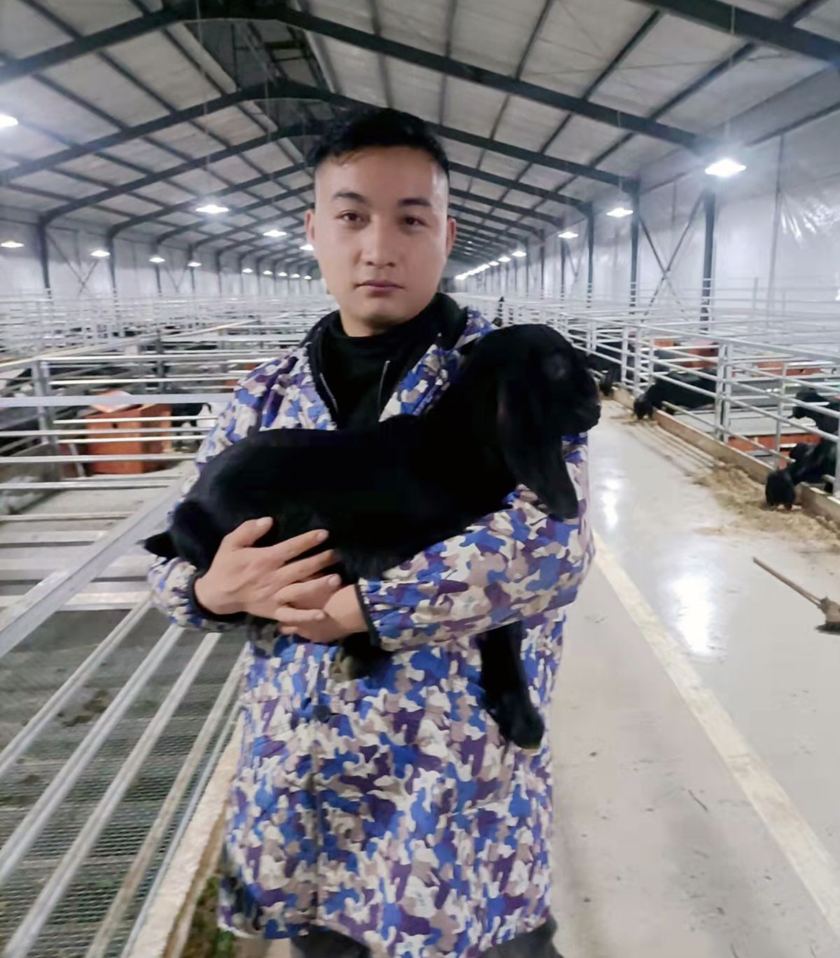 致富经山羊养殖技术视频_致富山羊养殖方法图片_养殖山羊致富方法