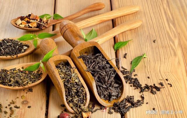 茶农致富_茶叶致富经_茶叶种植致富模式