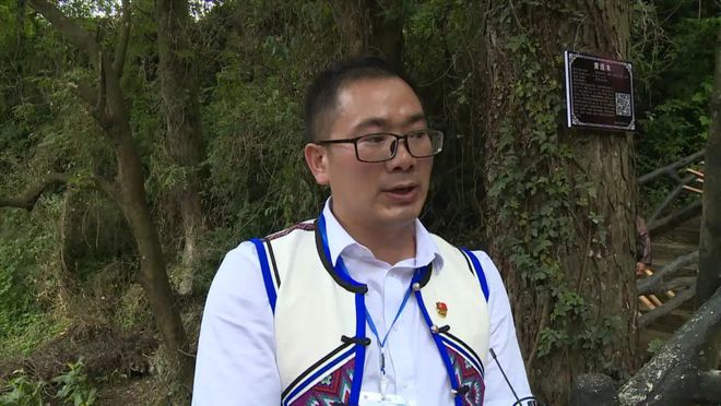 致富经种树的创业项目_致富树种植_种树致富全部视频