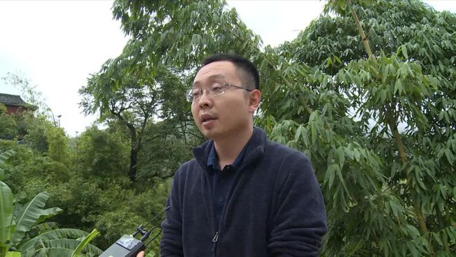 致富树种植_种树致富全部视频_致富经种树的创业项目