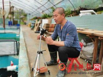 锦鲤鱼养殖视频播放_视频致富养殖锦鲤技术教程_锦鲤养殖技术视频致富经