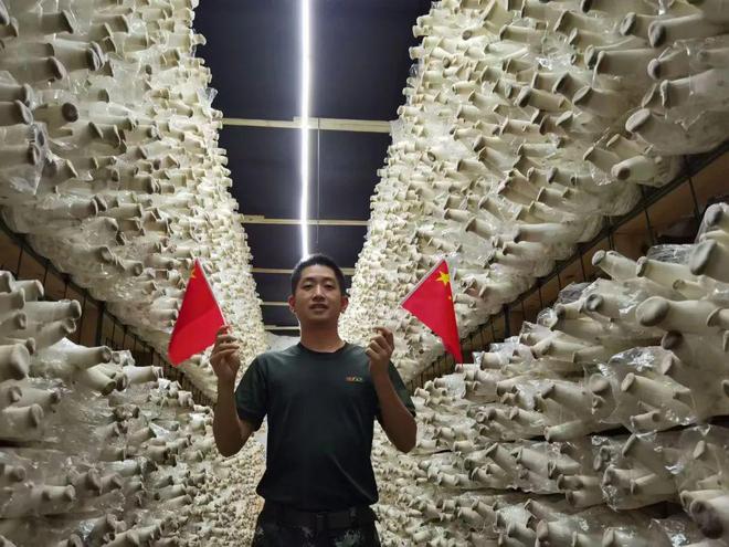 广西农村种植什么最赚钱_广西农村种植什么赚钱不愁销路_广西农村种植致富