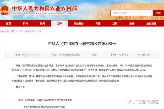 广西农村种植致富_在广西种植什么有前景_广西农村种植什么赚钱不愁销路
