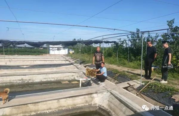 养殖水蛭的成本及利润_水蛭养殖技术价格_养殖水蛭最新技术