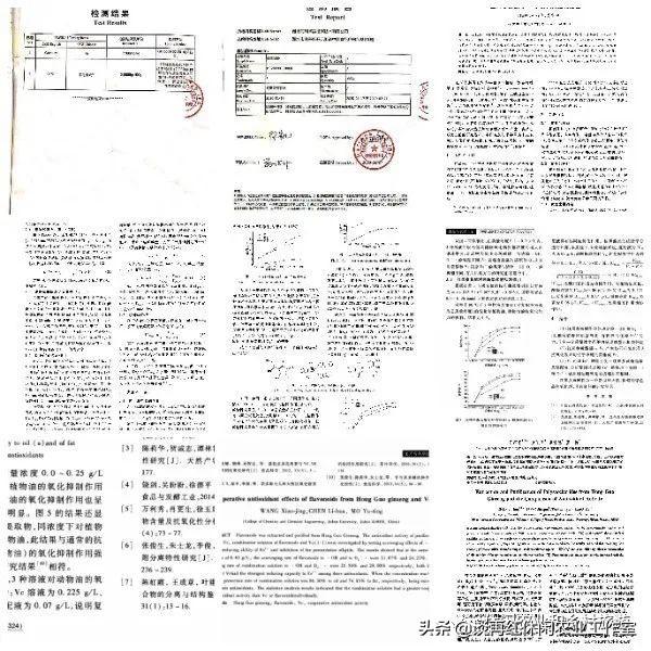农村种植致富野果_致富种植农村野果图片_致富种植农村野果的句子