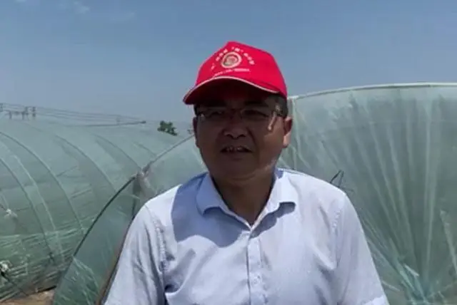 致富经西瓜种植视频_西瓜种植致富模型_致富西瓜模型种植视频