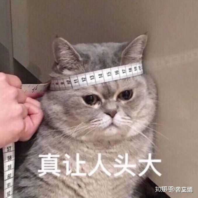 优质回答的经验_优质回答需要审核多久_提交优质回答