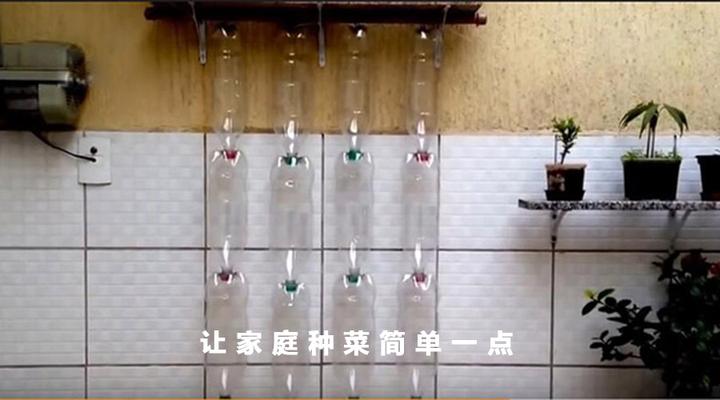 【种菜教授】废旧饮料瓶DIY立体种菜升级版：最简单、合理、实用的种法！