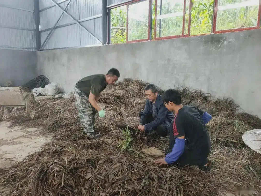 致富交流_致富经联系_致富经联系方式