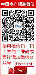 养殖东北技术河蟹视频_东北河蟹养殖技术_东北养殖螃蟹