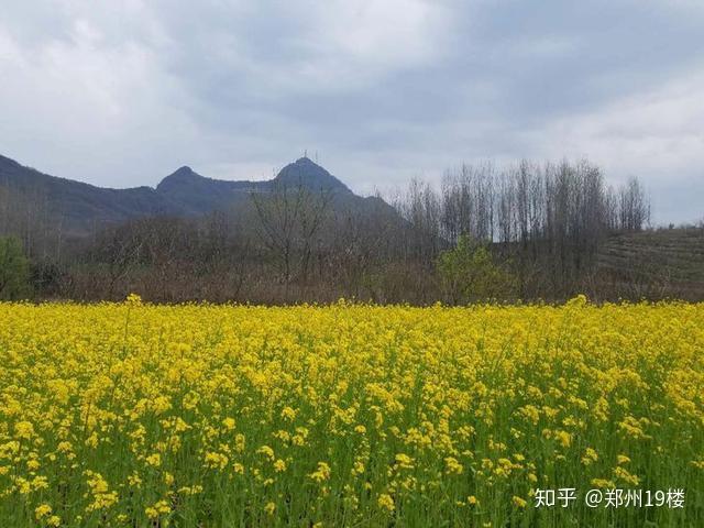 阿合奇农民养殖致富_阿合奇农民养殖致富_阿合奇农民养殖致富