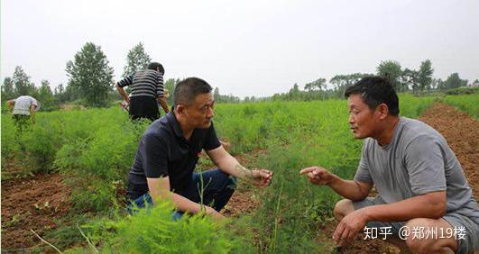 阿合奇农民养殖致富_阿合奇农民养殖致富_阿合奇农民养殖致富