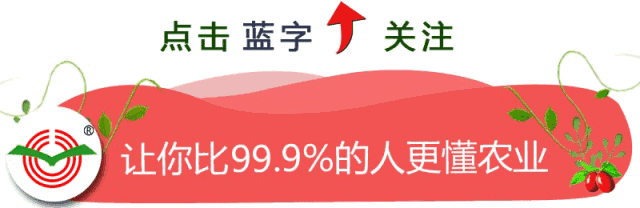 如何鉴别真假磷酸二氢钾？