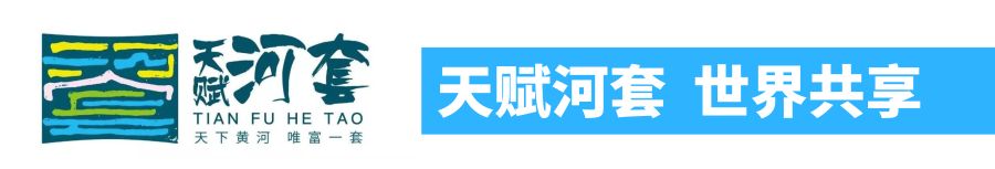 院市科技合作项目“河套灌区葵前麦类饲草种植关键生产技术研究与示范” 现场观摩会召