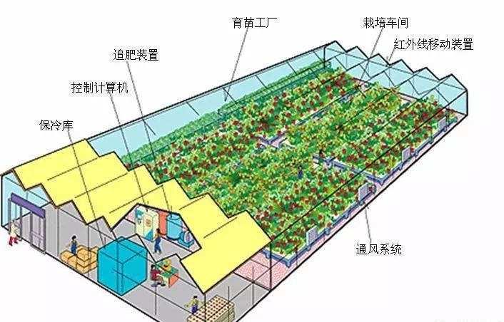 智能食用菌大棚建造