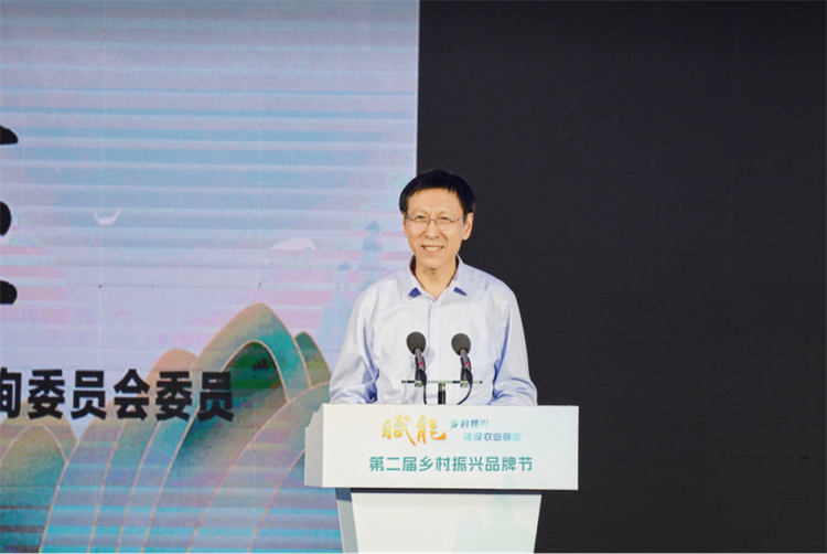 优秀村庄规划案例_村庄规划经验做法_借鉴优质村庄规划经验材料