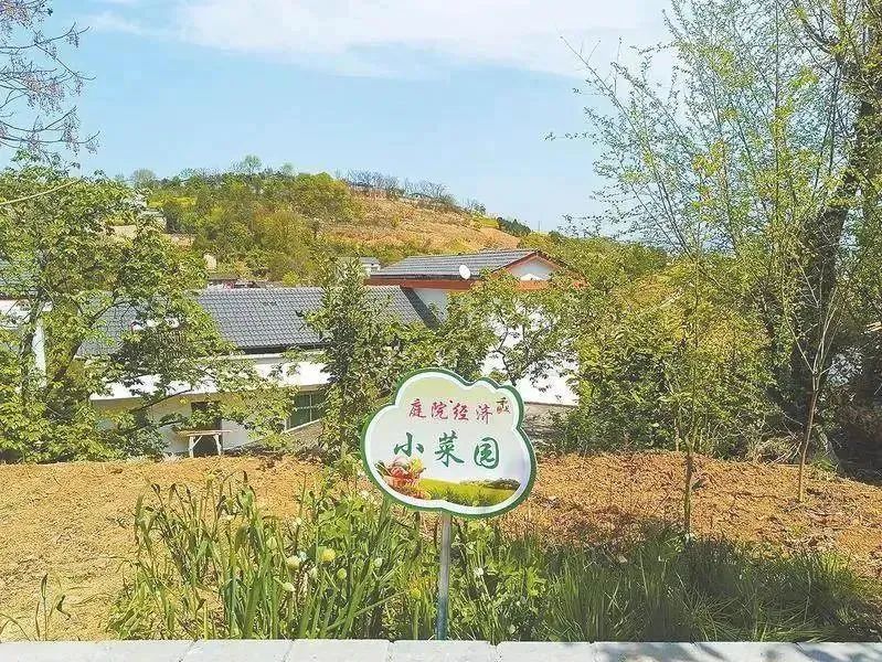 春来花满园 秋来果满枝——我省各地农家小庭院变成增收“致富园”