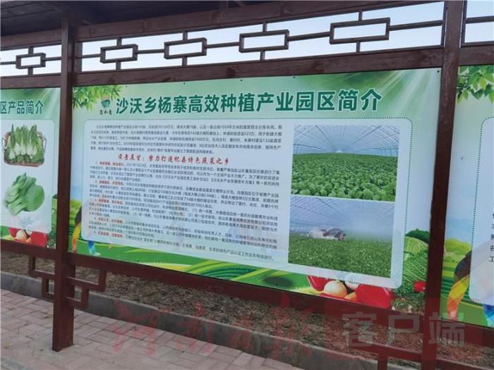 大棚种植果树利润高吗_果园大棚种植致富_致富大棚种植果园视频