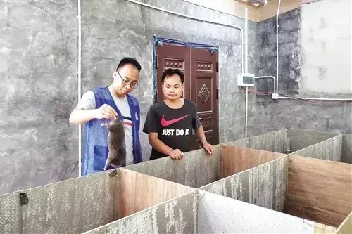把自己变成半个竹鼠养殖专家