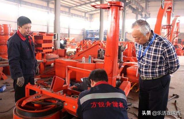 种植黑小米的前景非常看好_黑小米养殖致富_黑小米生长条件