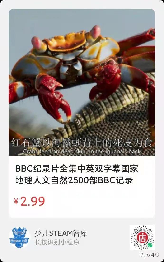 cctv致富经鸭蛋视频_致富经鸭蛋_致富经蛋