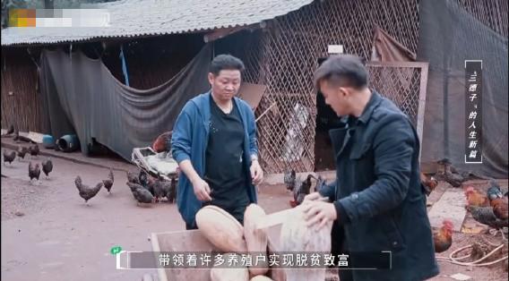 富凤土鸡图片_致富经付凤养殖土鸡视频_富凤鸡苗价格查询
