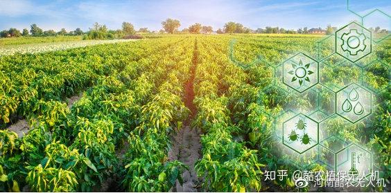 优质作物推广成效及经验_成效作物优质推广经验怎么写_推广农作物