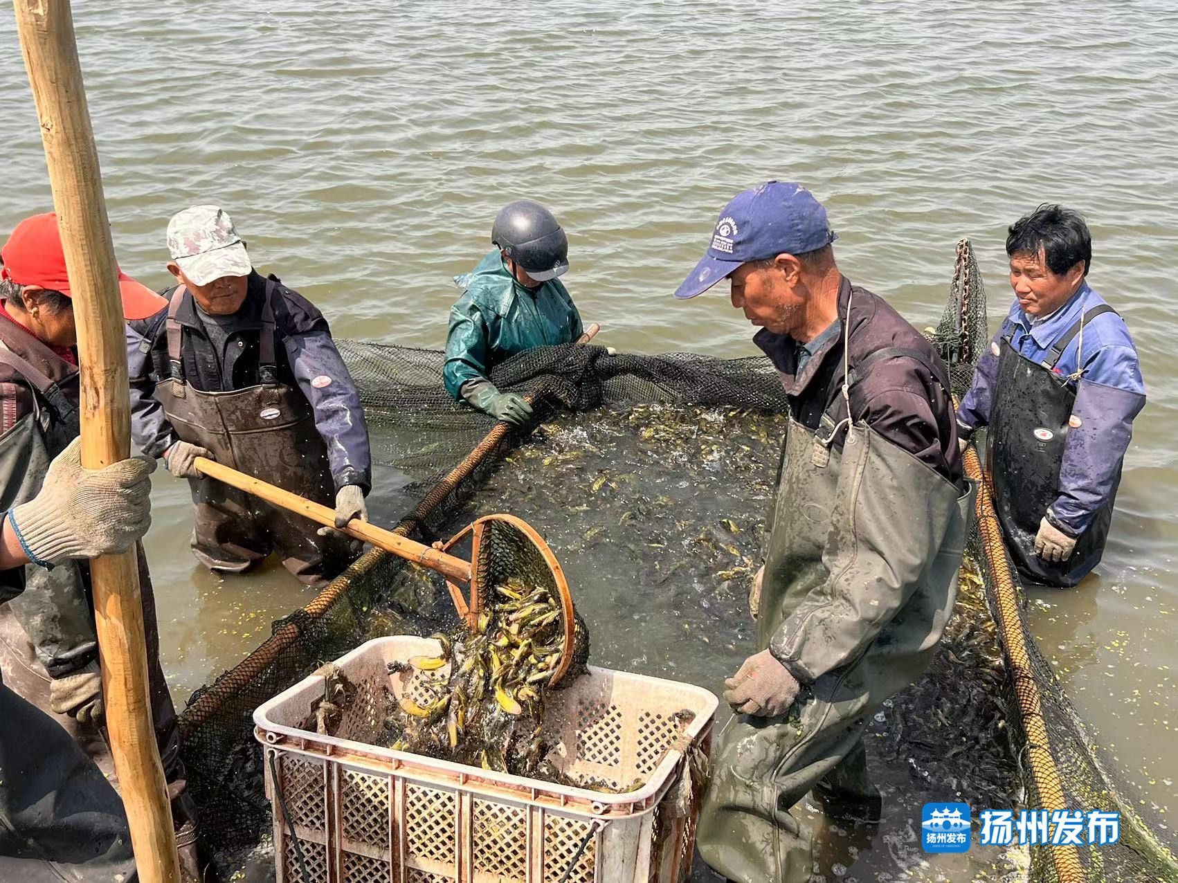 养殖致富经验_致富养殖视频_养殖致富经视频