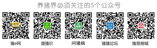 未婚女士养殖致富_未婚女士养殖致富_未婚女士养殖致富