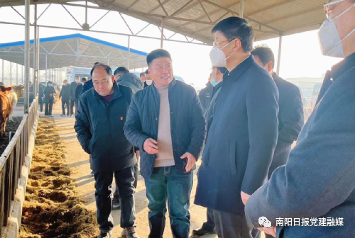 农村养殖业致富项目牛_牛养殖致富项目_致富经创业项目农村养殖牛