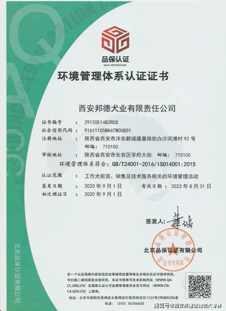 养狗培训学校_宠物狗养殖技术学校_养狗吧宠物培训学校